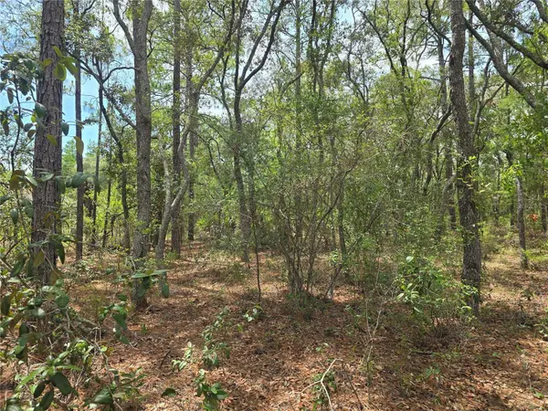 6468 N BAYLOR TER, Dunnellon, FL 34433