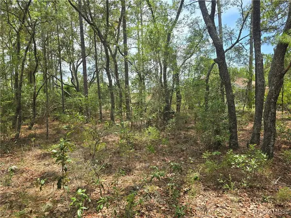 6468 N Baylor TER, Dunnellon, FL 34433