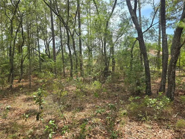 6468 N BAYLOR TER, Dunnellon, FL 34433