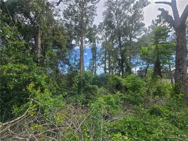 1239 Amherst TER, Inverness, FL 34452