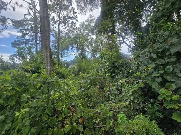 1239 AMHERST TER, Inverness, FL 34452