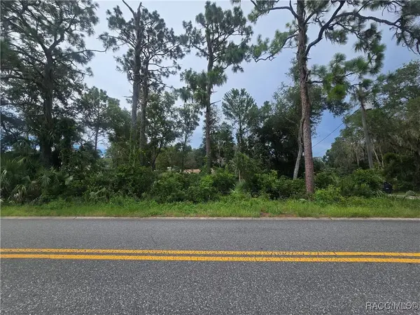 1239 Amherst TER, Inverness, FL 34452