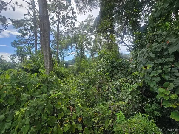 1239 Amherst TER, Inverness, FL 34452