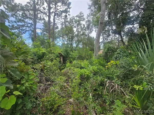 1239 Amherst TER, Inverness, FL 34452