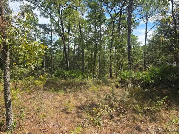 7441 N June TER, Dunnellon, FL 34434