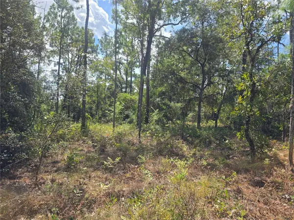 7441 N JUNE TER, Dunnellon, FL 34434