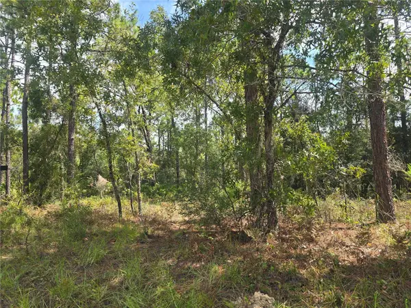 7441 N JUNE TER, Dunnellon, FL 34434