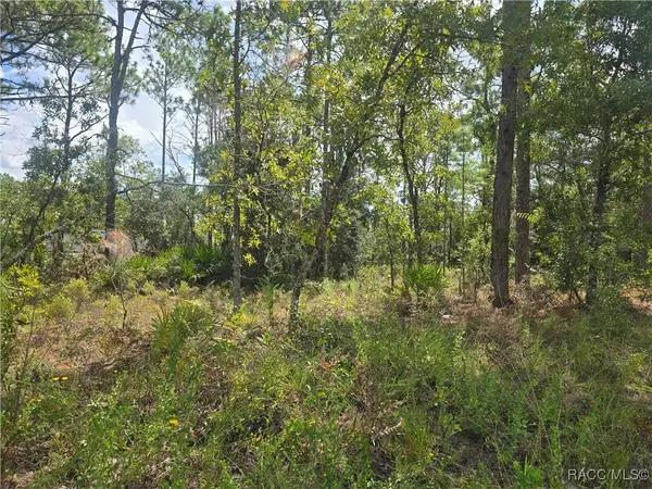 7441 N June TER, Dunnellon, FL 34434