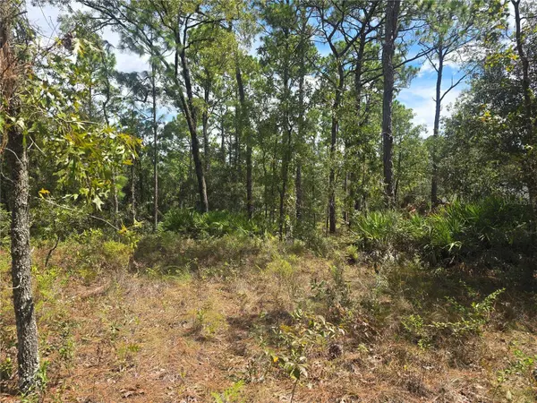 7441 N JUNE TER, Dunnellon, FL 34434