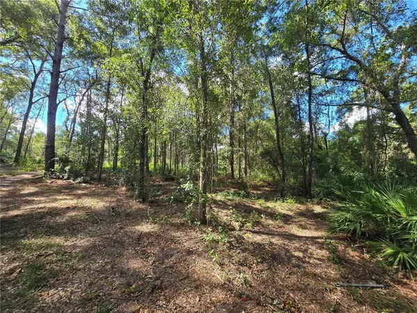 4286 N CARL G ROSE HWY, Hernando, FL 34442