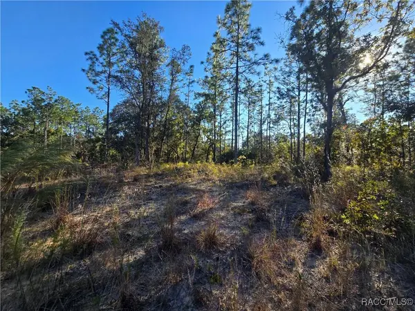 9388 N Old Mill WAY, Citrus Springs, FL 34433