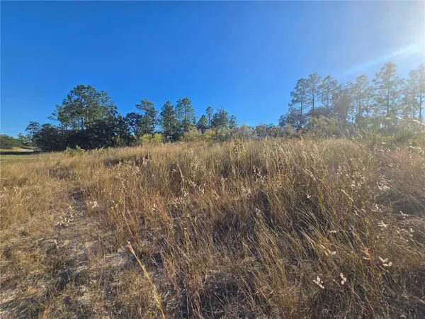 9388 N OLD MILL WAY, Citrus Springs, FL 34433