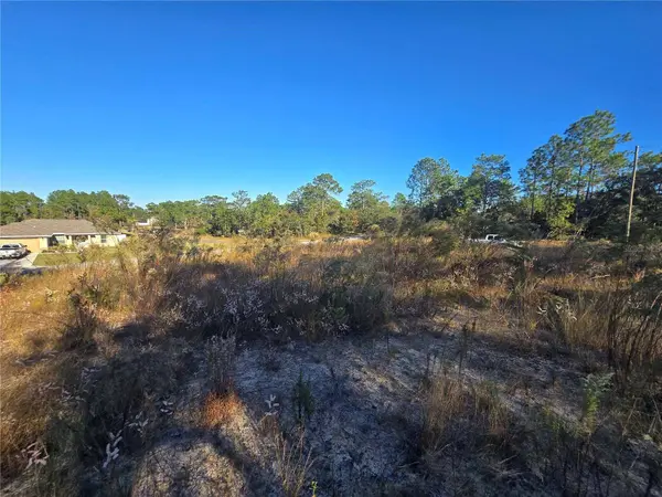 9388 N OLD MILL WAY, Citrus Springs, FL 34433