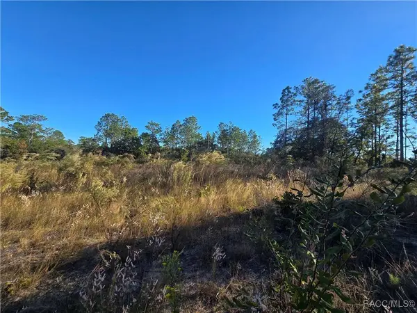 9388 N Old Mill WAY, Citrus Springs, FL 34433