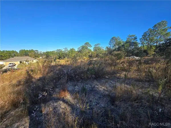 9388 N Old Mill WAY, Citrus Springs, FL 34433