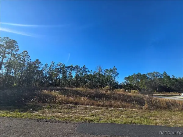 9388 N Old Mill WAY, Citrus Springs, FL 34433