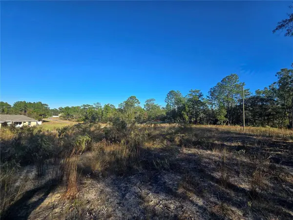 9388 N OLD MILL WAY, Citrus Springs, FL 34433