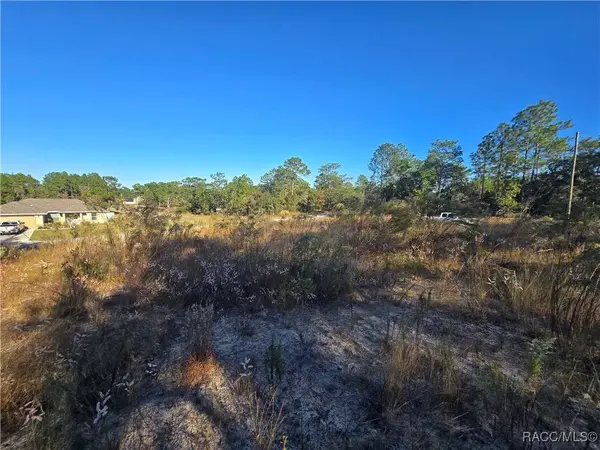 9388 N Old Mill WAY, Citrus Springs, FL 34433