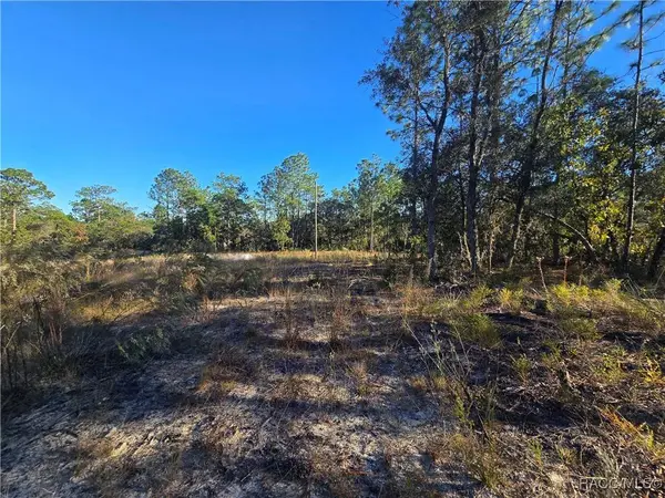 9388 N Old Mill WAY, Citrus Springs, FL 34433