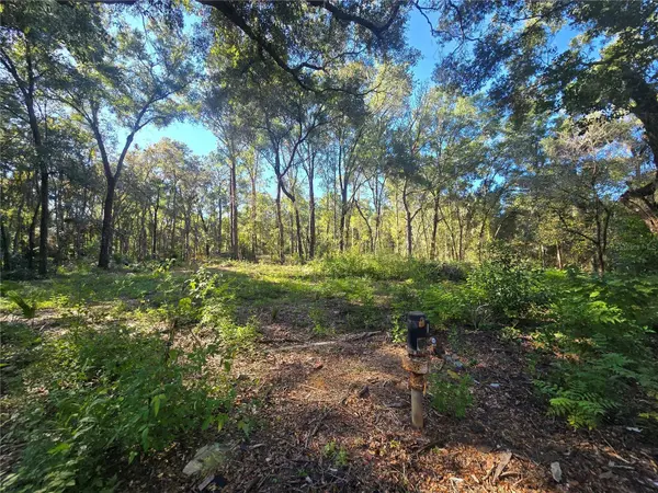 4322 N CARL G ROSE HWY, Hernando, FL 34442