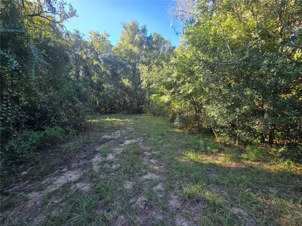 4322 N CARL G ROSE HWY, Hernando, FL 34442