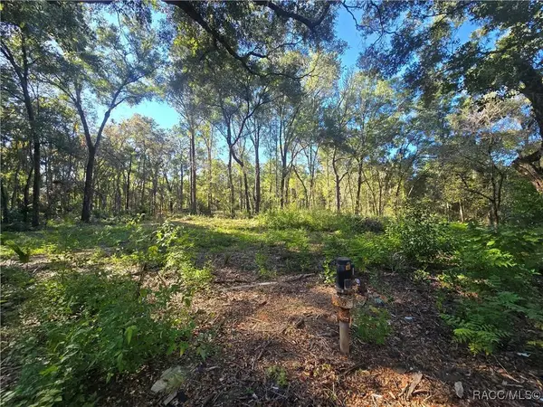 4322 N Carl G Rose HWY, Hernando, FL 34442