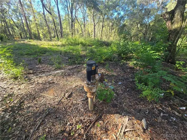 4322 N Carl G Rose HWY, Hernando, FL 34442