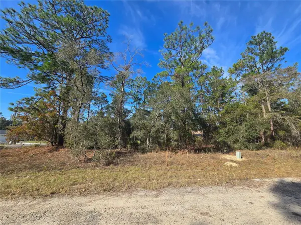 6434 N BAYLOR TER, Citrus Springs, FL 34433