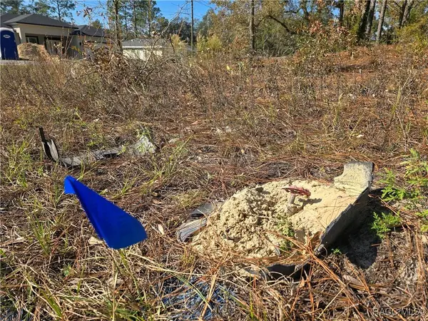 6434 N Baylor TER, Citrus Springs, FL 34433