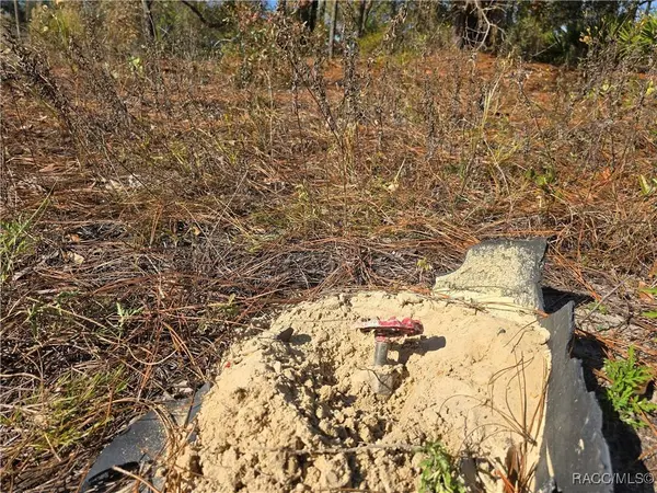 6434 N Baylor TER, Citrus Springs, FL 34433