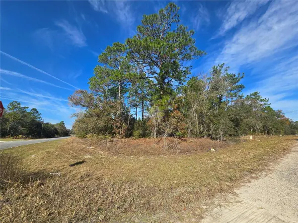 6434 N BAYLOR TER, Citrus Springs, FL 34433