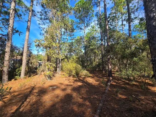 6434 N BAYLOR TER, Citrus Springs, FL 34433