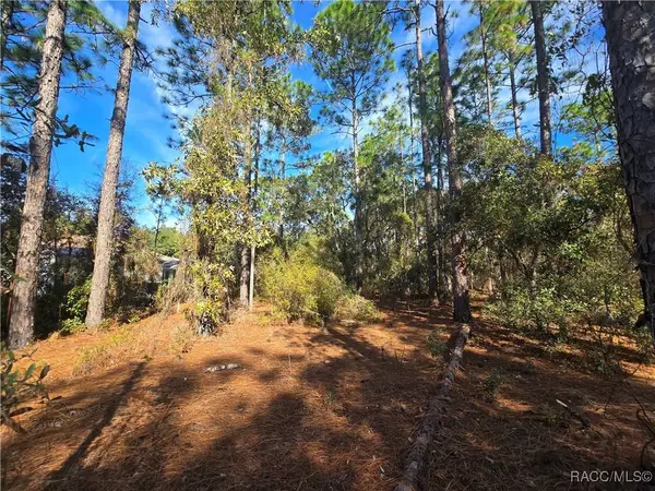 6434 N Baylor TER, Citrus Springs, FL 34433