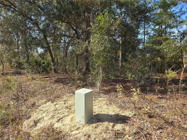 6434 N BAYLOR TER, Citrus Springs, FL 34433