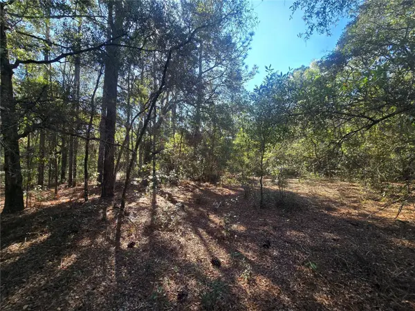 11370 N ORTEGA PT, Dunnellon, FL 34433