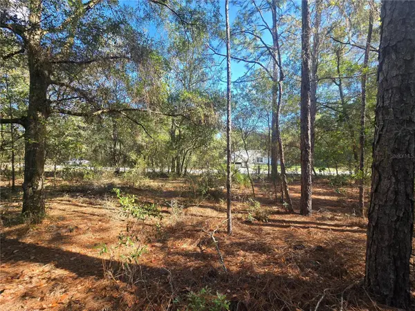 11370 N ORTEGA PT, Dunnellon, FL 34433