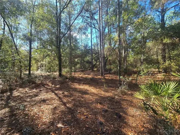 11370 N Ortega PT, Dunnellon, FL 34433