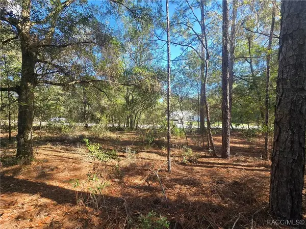 11370 N Ortega PT, Dunnellon, FL 34433