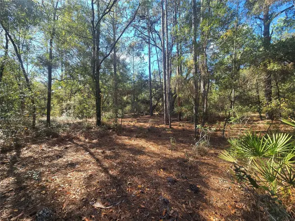 11370 N ORTEGA PT, Dunnellon, FL 34433