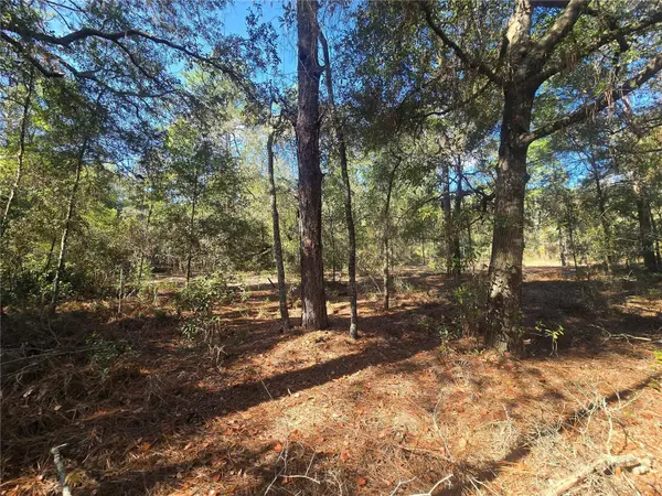 11370 N ORTEGA PT, Dunnellon, FL 34433