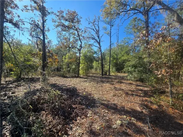 11136 N Vesta PT, Dunnellon, FL 34434