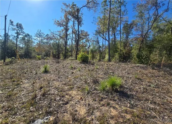 11136 N Vesta PT, Dunnellon, FL 34434