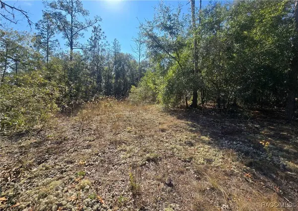 11136 N Vesta PT, Dunnellon, FL 34434