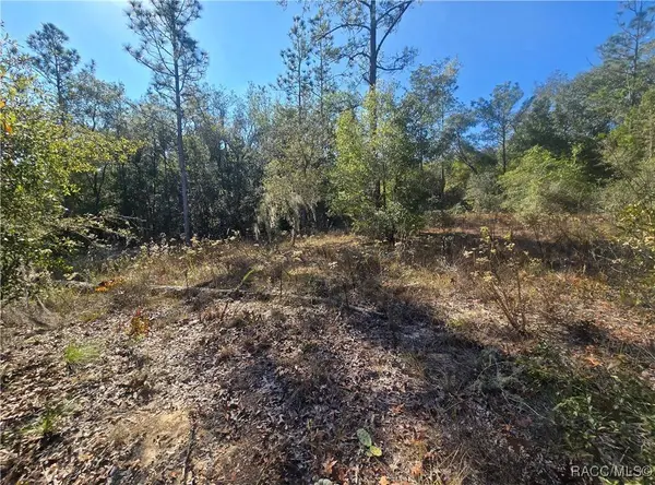 11136 N Vesta PT, Dunnellon, FL 34434