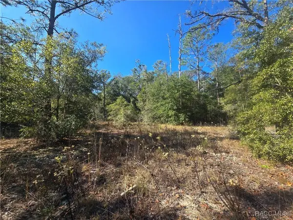 11136 N Vesta PT, Dunnellon, FL 34434