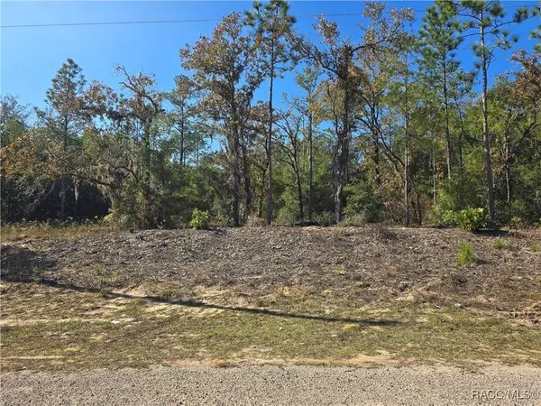 11136 N Vesta PT, Dunnellon, FL 34434