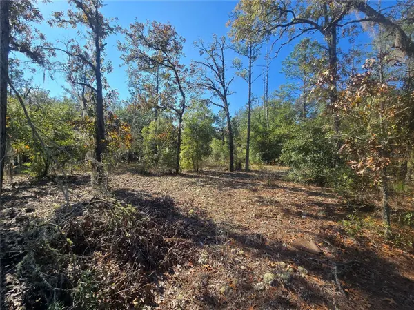 11136 N VESTA PT, Dunnellon, FL 34434