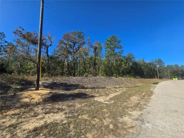 11136 N VESTA PT, Dunnellon, FL 34434