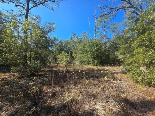 11136 N VESTA PT, Dunnellon, FL 34434