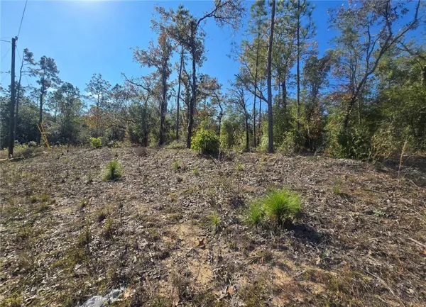 11136 N VESTA PT, Dunnellon, FL 34434